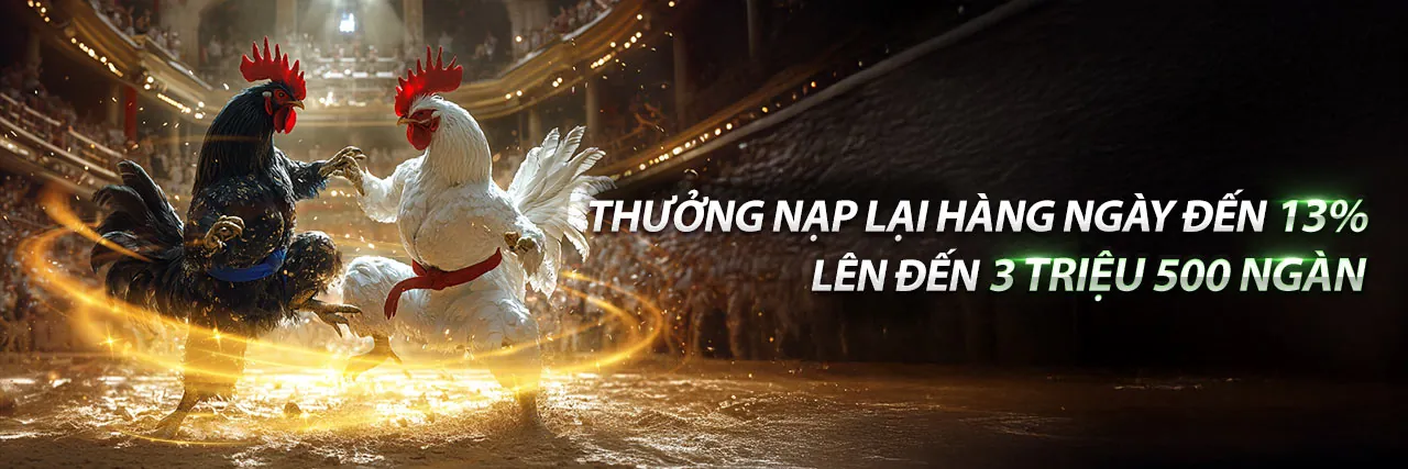 Sân chơi đá gà trực tuyến gaking79 khuyến mãi